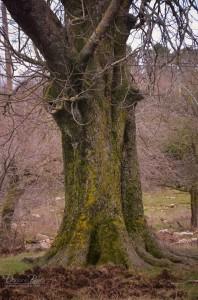 1724096_624564850924780_401834195_n