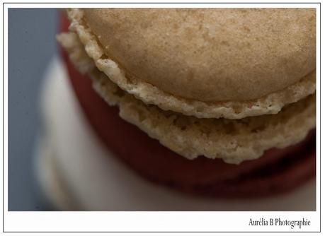 photographe macaron