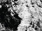 Weeknight Dark Light