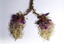 Art floral et organique par Camila Carlow