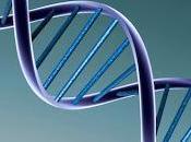 l’adn l’entreprise