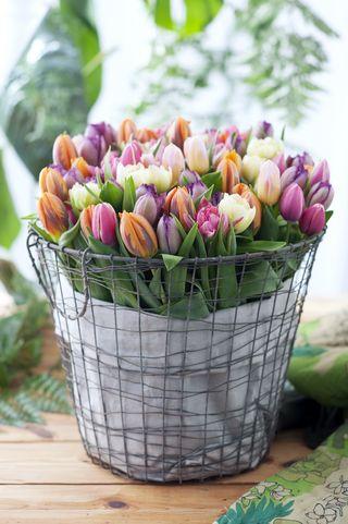 Tulipes-vase