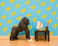 Animal diorama prints gorilla