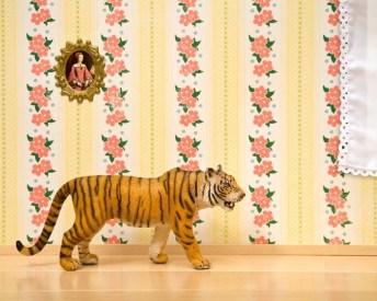 Animal diorama prints tiger