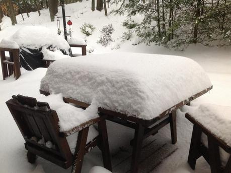 Il fait beau, n’est-ce pas ?
