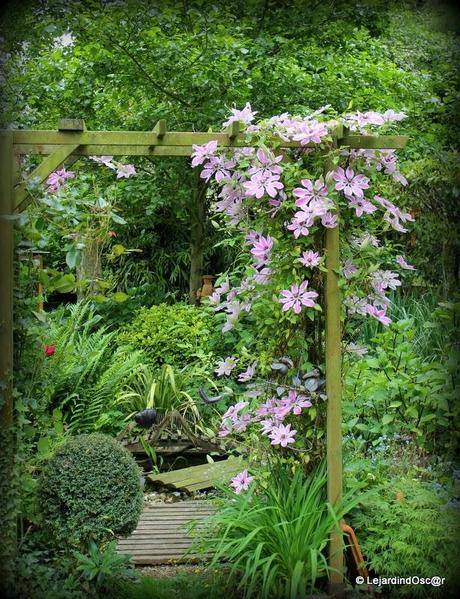 Rétro Juin 2013 ...