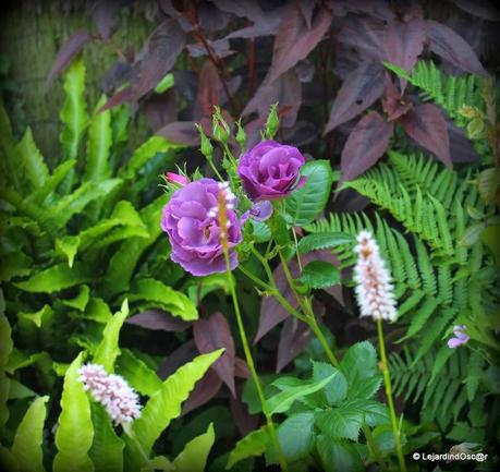 Rétro Juin 2013 ...