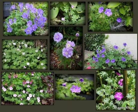 Rétro Juin 2013 ...