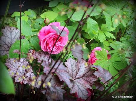 Rétro Juin 2013 ...