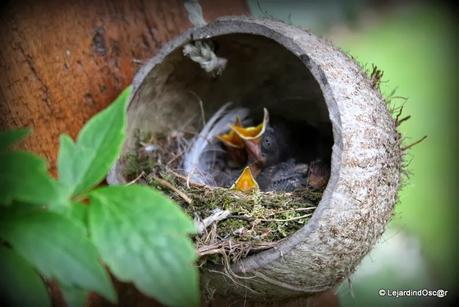 Rétro Juin 2013 ...