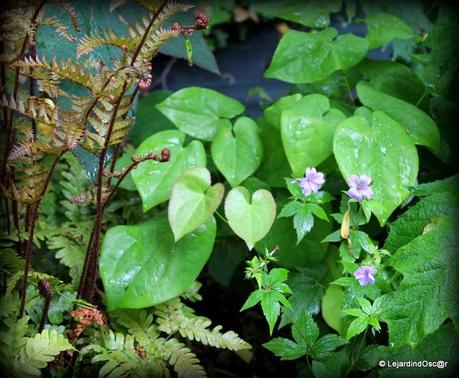 Rétro Juin 2013 ...