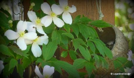 Rétro Juin 2013 ...