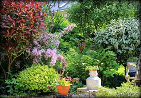 Rétro Juin 2013 ...