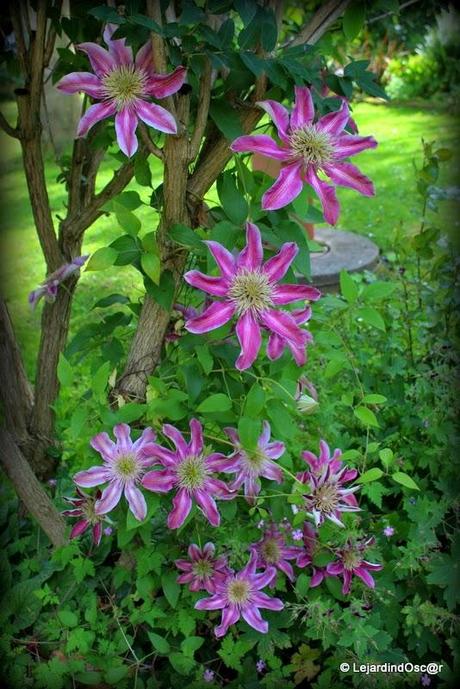 Rétro Juin 2013 ...