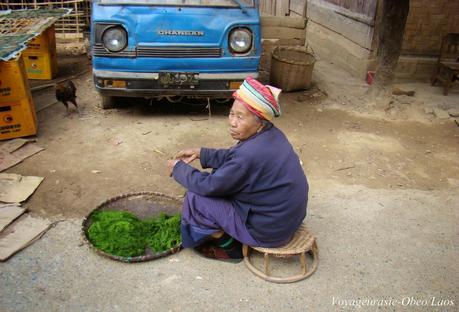 Laos: Récolte et confection des galettes d'algues