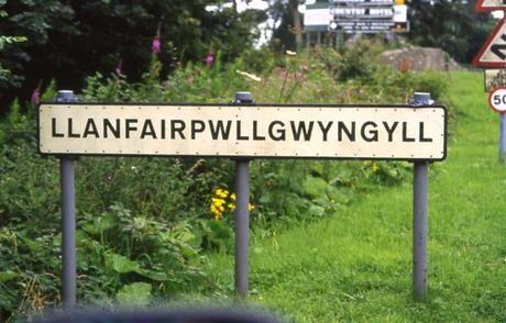 Mogwaii-phobie-hippopotomonstrosesquippedaliophobie-mot