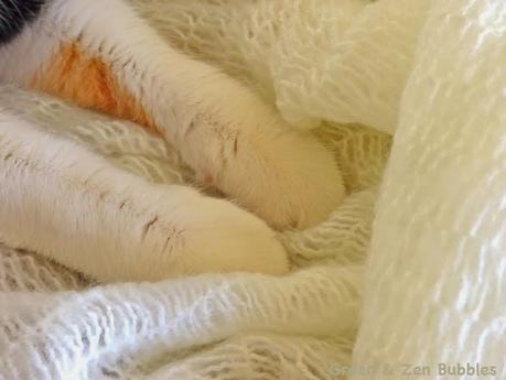 Ambiance blanche (bis)