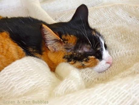 Ambiance blanche (bis)