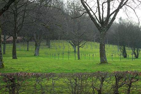 Saint-Maurice-sous-les-Côtes : cimetière allemand (14/18)