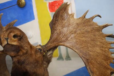 Musée de la chasse et Couvent des Cordeliers