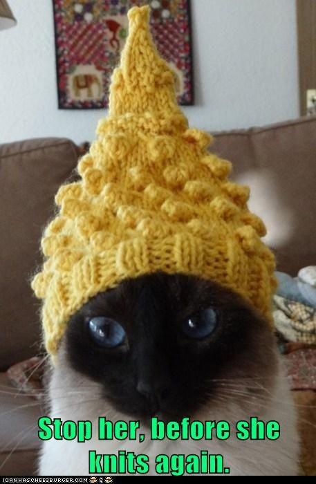 nice hat, nice cat ♥.