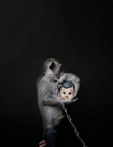 A Kind of you où des singes trop humains (Photographies- Perttu Saska)
