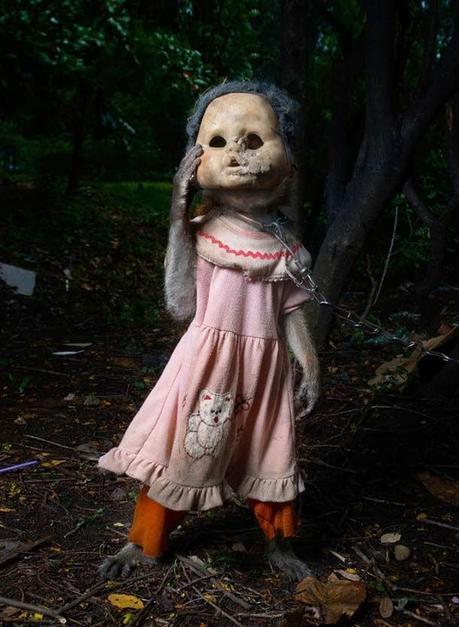 A Kind of you où des singes trop humains (Photographies- Perttu Saska)