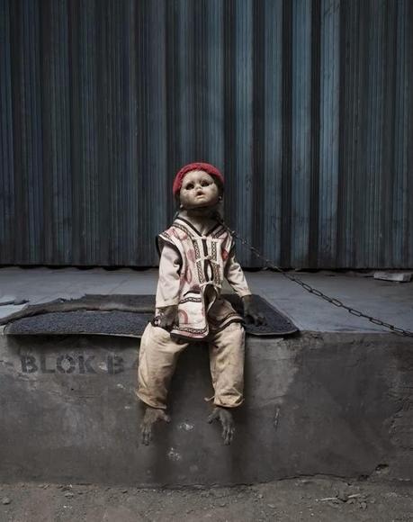 A Kind of you où des singes trop humains (Photographies- Perttu Saska)