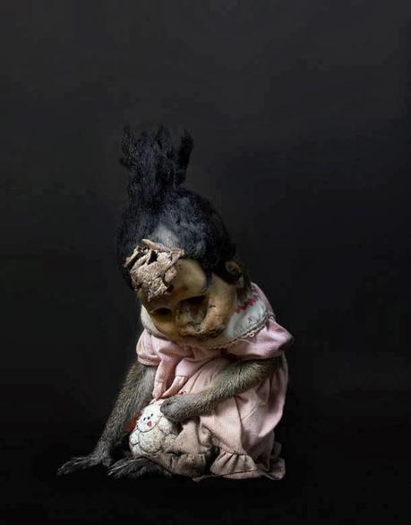 A Kind of you où des singes trop humains (Photographies- Perttu Saska)