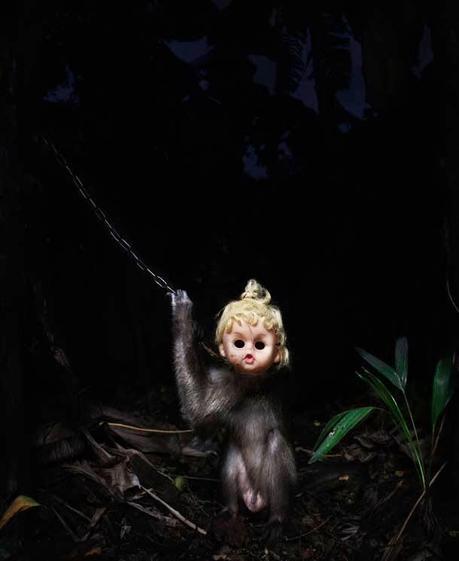 A Kind of you où des singes trop humains (Photographies- Perttu Saska)