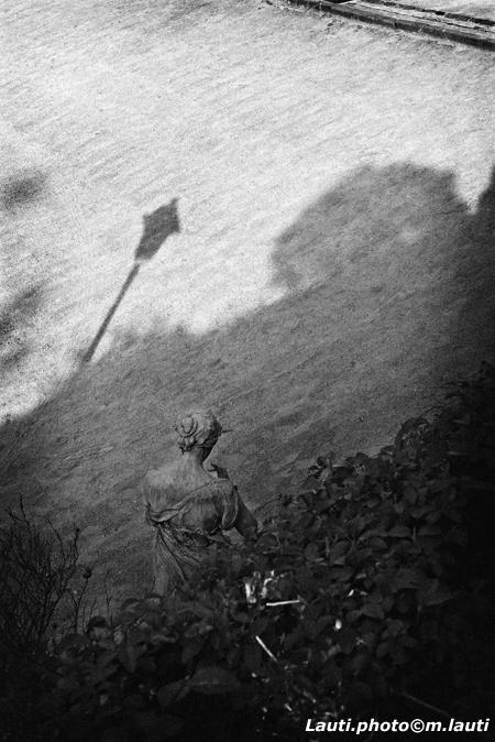 Jardin botanique - Bruxelles