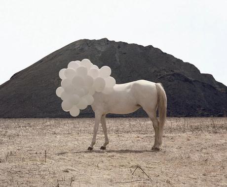 ANDREA GALVANI
