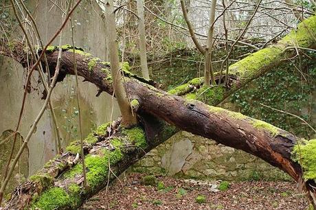 Ancienne poudrière de Bois sous Roche #2