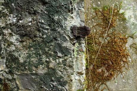 Ancienne poudrière de Bois sous Roche #2