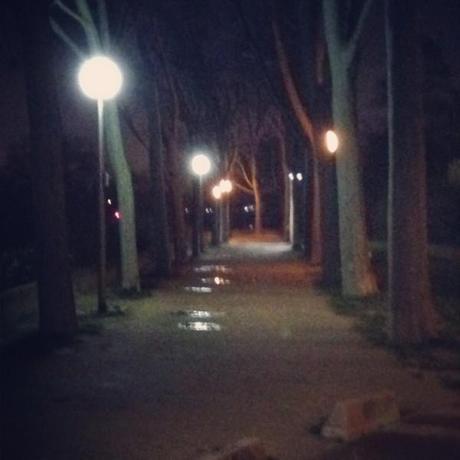 Semaine 6 challenge photo #365virginieb IMG_6114