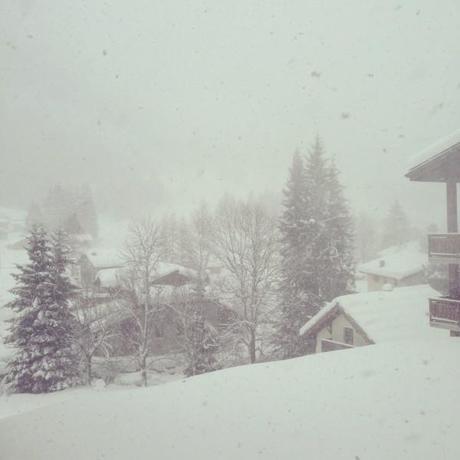 Semaine 6 challenge photo #365virginieb IMG_6171