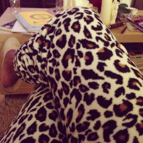 Semaine 6 challenge photo #365virginieb IMG_6103