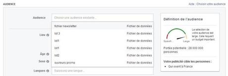 choix cible pub facebook