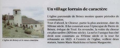Coq et clocher : Brixey-aux-Chanoines
