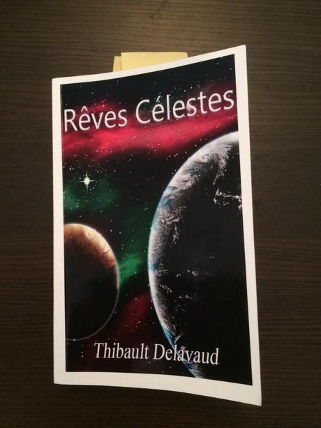 Point d’étape n°9 : Mon bilan 2013, 1247 ebooks vendus et empruntés Rêves Célestes