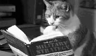 chat lecture