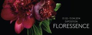 floressence940x360
