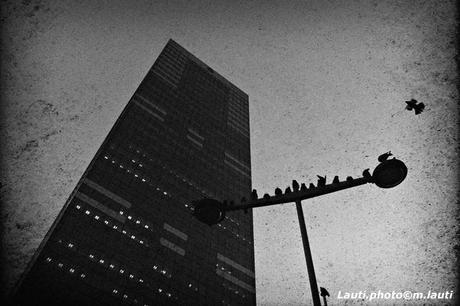 Bruxelles -Tour du midi 