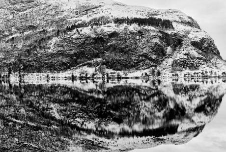 La photographie du jour