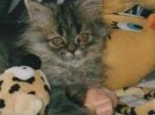 Mises Scène DouDouesques!