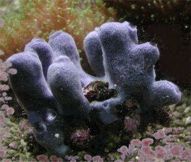 Des médicaments dans les fonds marins