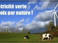 électricité verte