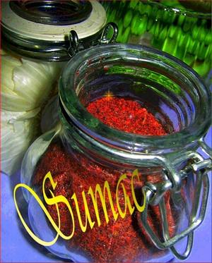 Image Hosted by ImageShack.us