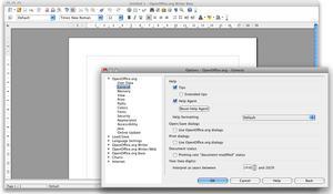 Open Office beta dans bacs!