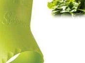 L'objet mystère jour